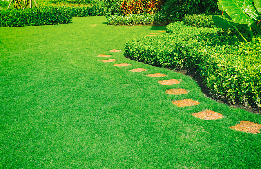 Beautiful Lawn and Grass with a Pathway