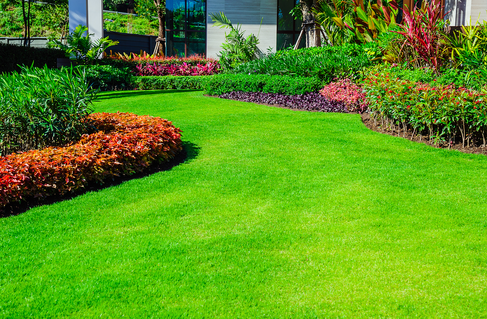 Liquid Aerated Lawn