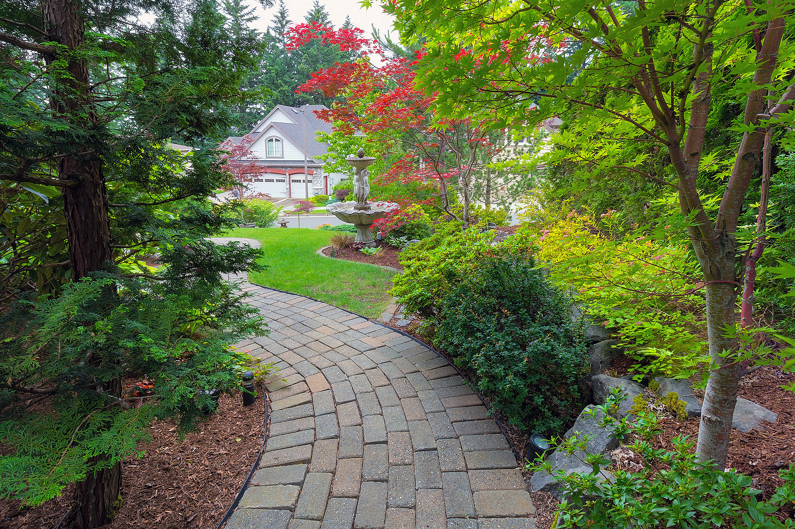 Tree and Shrub Pest Control