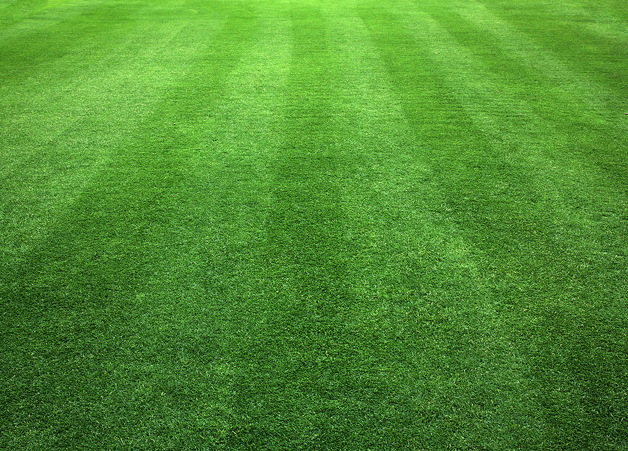 Professional Lawn Fertilization and Weed Control by Thrive Lawn Care near Cottleville MO