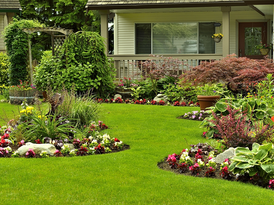 Lawn with Weed Control by Thrive Lawn Care in Cottleville MO