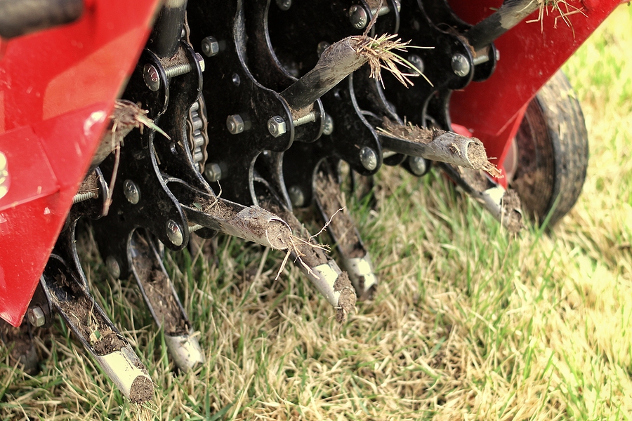 Lawn Aerator